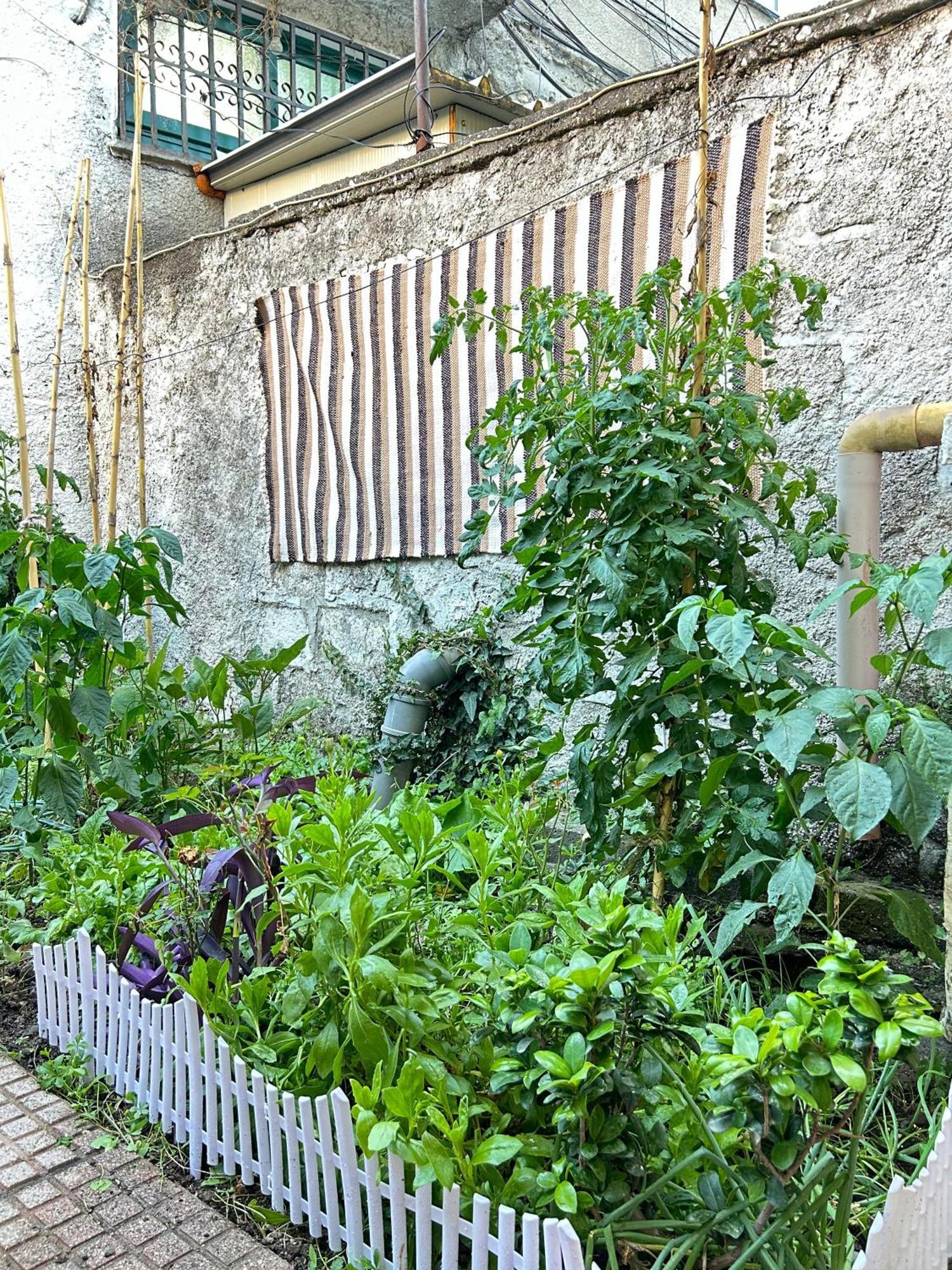 Vila Koltrina Shkoder Exterior photo